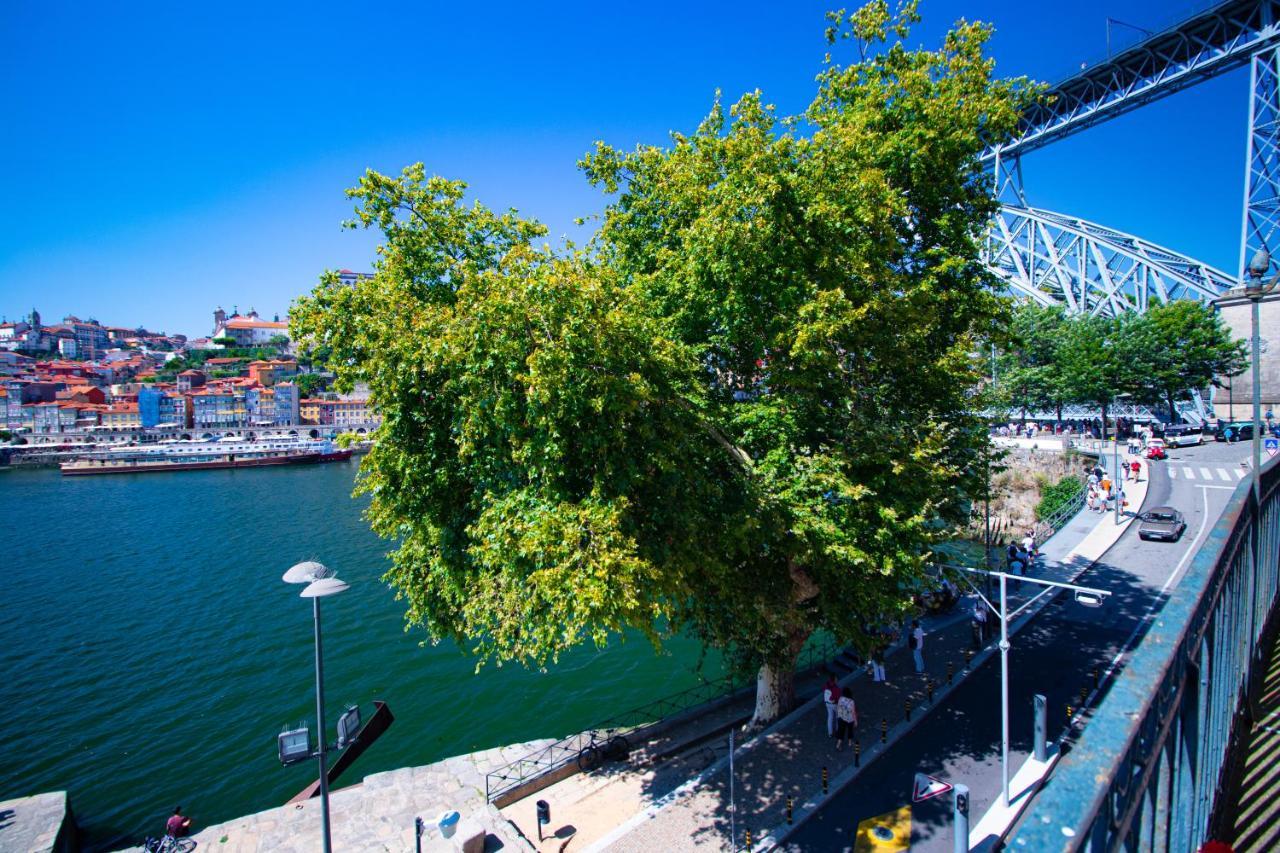 Nortesoul Porto A Vista فيلا نوفا دي غايا المظهر الخارجي الصورة